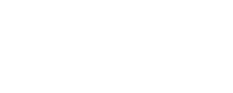 DAIN Logo